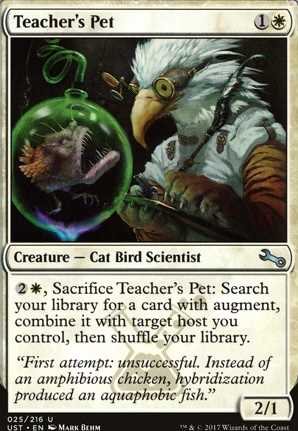 Teacher s Pet