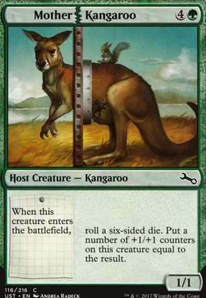 Mother Kangaroo