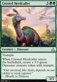 Crested Herdcaller