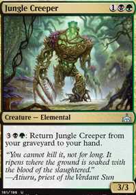 Jungle Creeper
