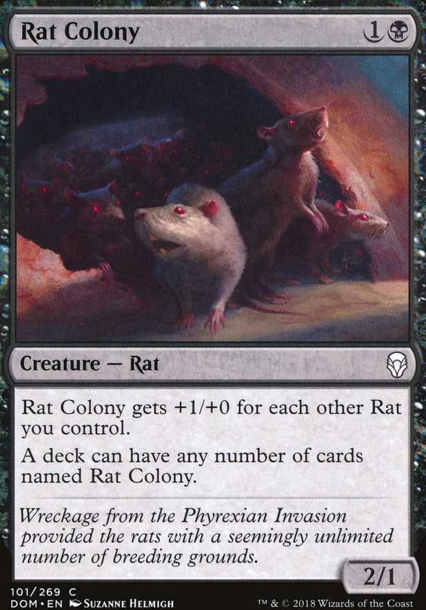 Rat Colony