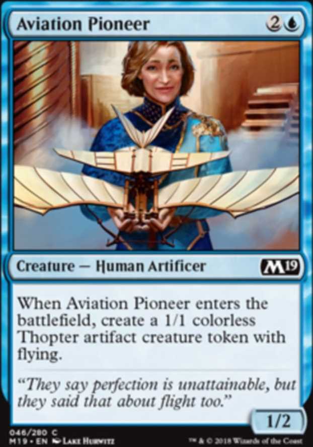 Aviation Pioneer