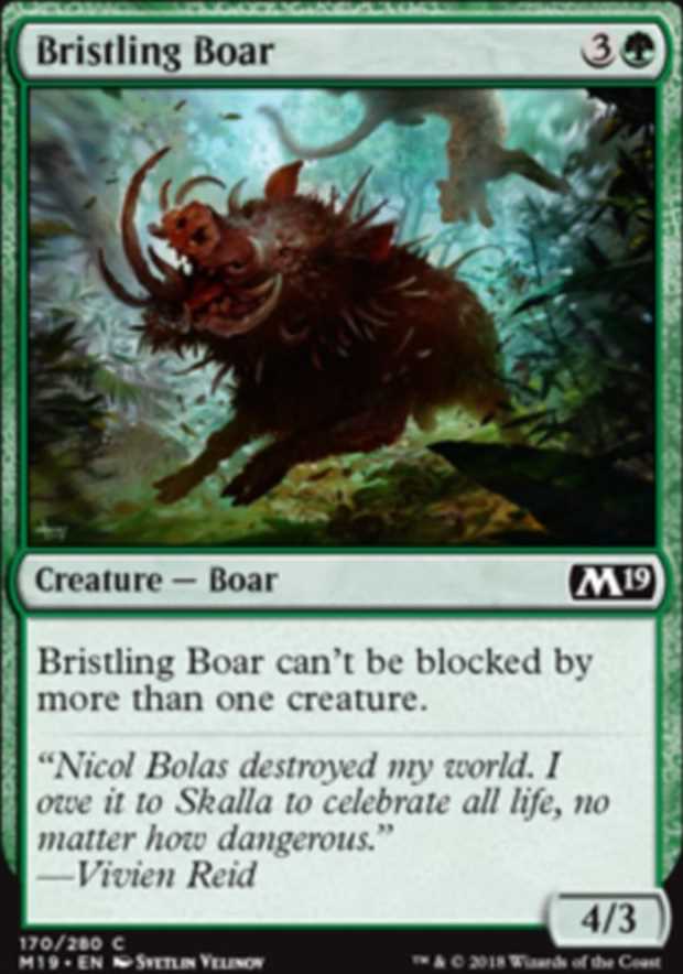 Bristling Boar