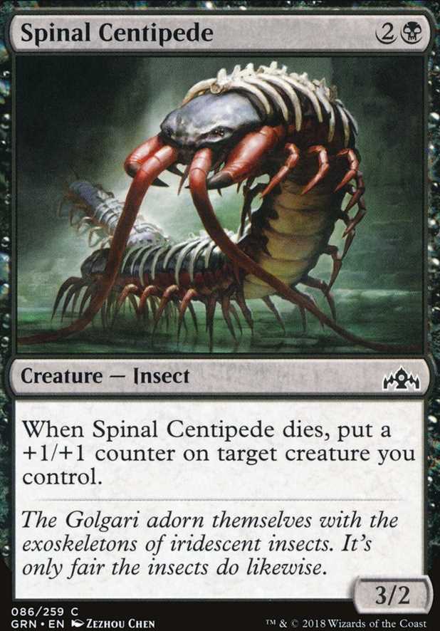 Spinal Centipede