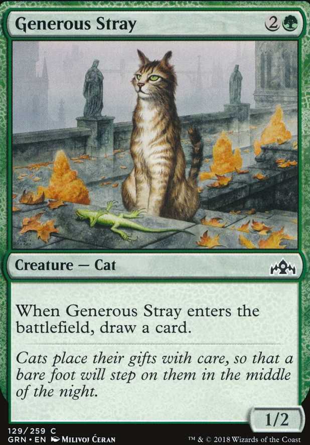 Generous Stray