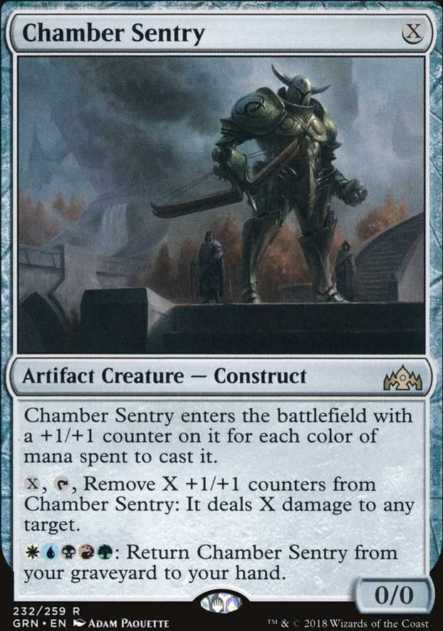 Chamber Sentry