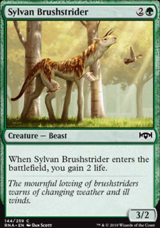 Sylvan Brushstrider