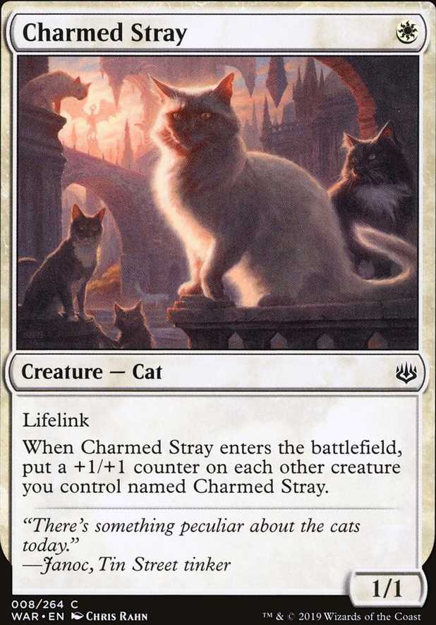 Charmed Stray