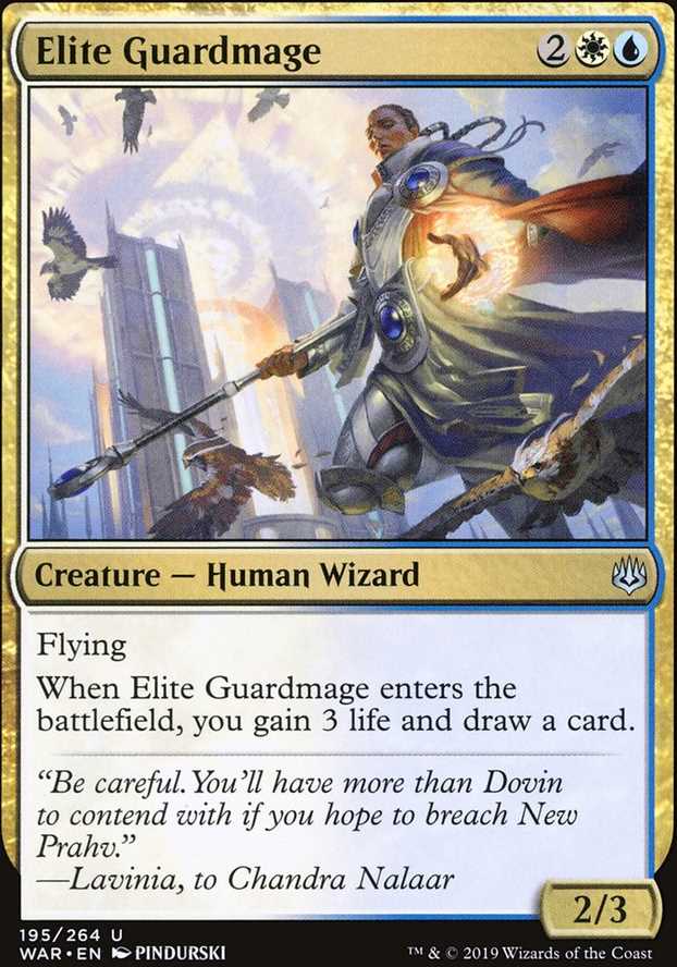 Elite Guardmage