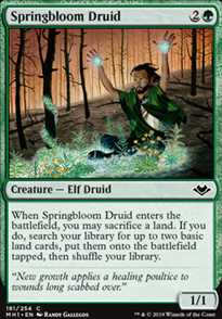 Springbloom Druid