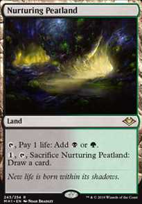 Nurturing Peatland