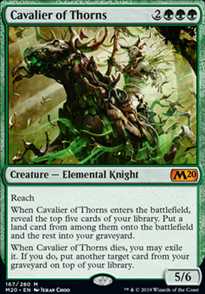 Cavalier of Thorns - FOIL