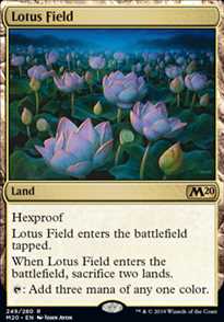 Lotus Field