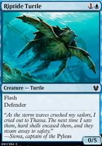 Riptide Turtle