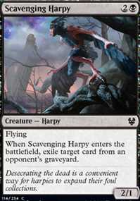 Scavenging Harpy