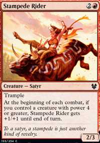 Stampede Rider