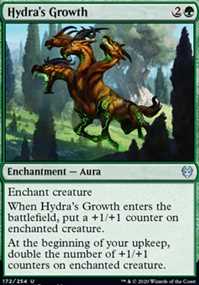 Hydra's Growth
