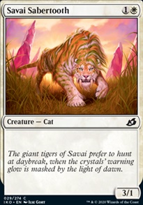 Savai Sabertooth