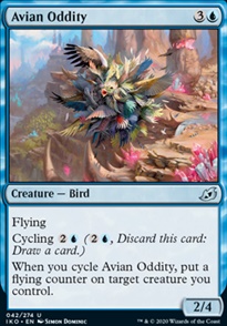 Avian Oddity