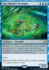 Sea-Dasher Octopus