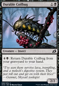 Durable Coilbug