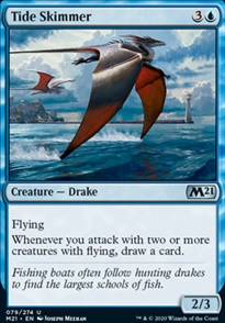 Tide Skimmer