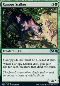 Canopy Stalker