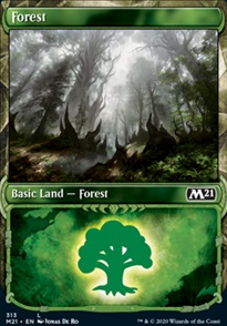 Forest - Collectors Edition