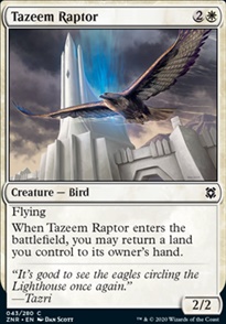 Tazeem Raptor