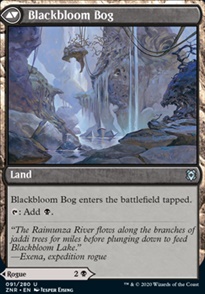 Blackbloom Bog