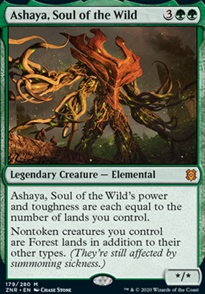 "Ashaya, Soul of the Wild"