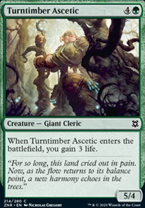 Turntimber Ascetic