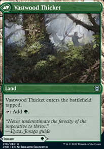 Vastwood Thicket