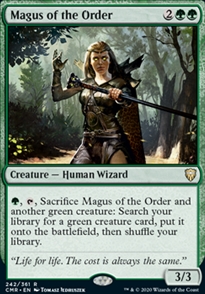 Magus of the Order