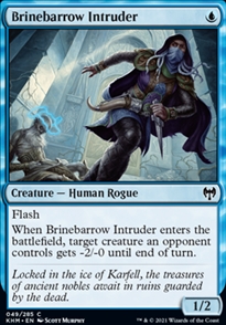 Brinebarrow Intruder