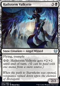 Hailstorm Valkyrie