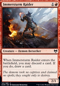 Immersturm Raider