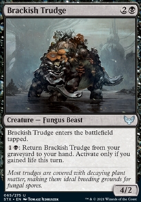 Brackish Trudge