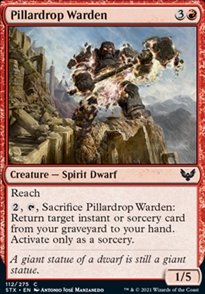 Pillardrop Warden