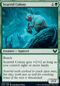 Scurrid Colony