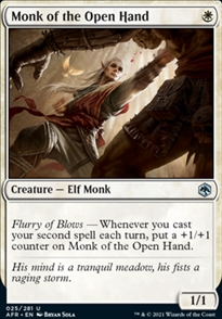 Monk of the Open Hand