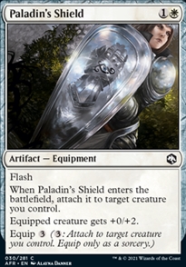 Paladin's Shield