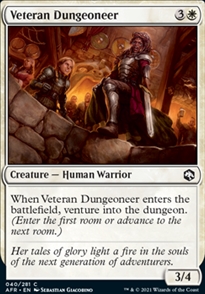 Veteran Dungeoneer