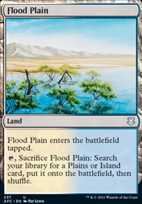 Flood Plain - Commander