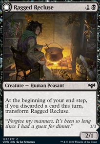 Ragged Recluse
