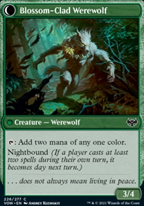 Blossom-Clad Werewolf