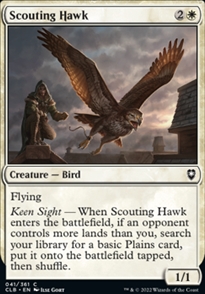 Scouting Hawk