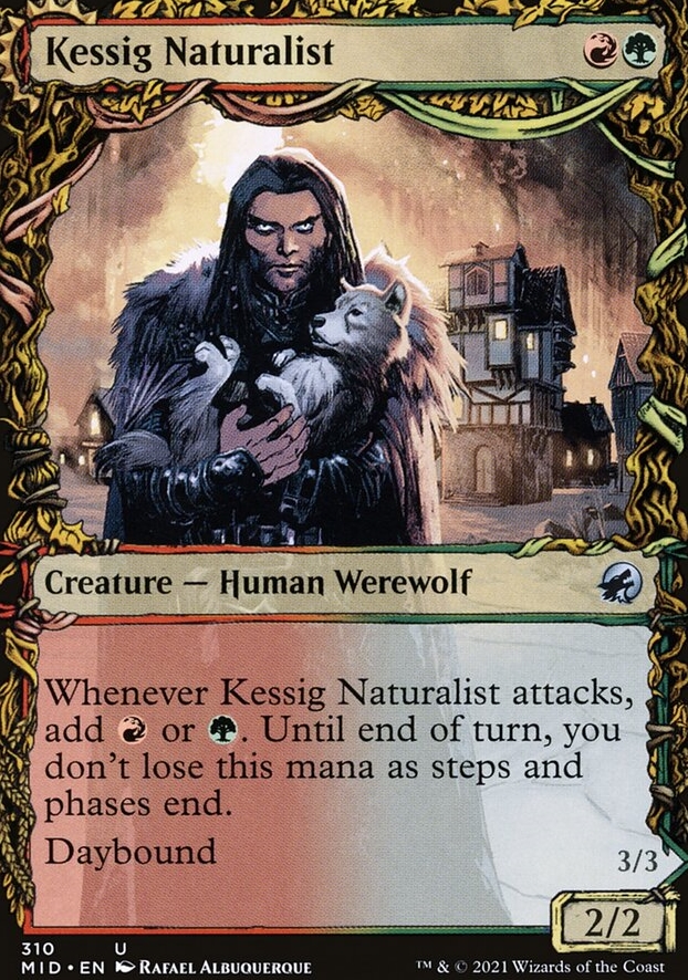 Kessig Naturalist - Collectors Edition